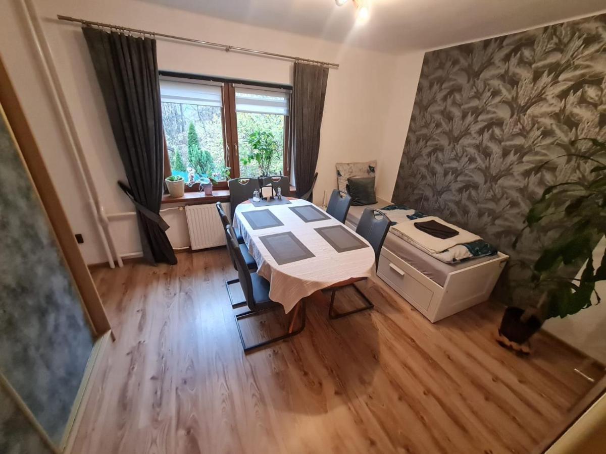 Malebny Rodinny Dum V Prirode, Sauna, Bbq Trinec Exterior photo